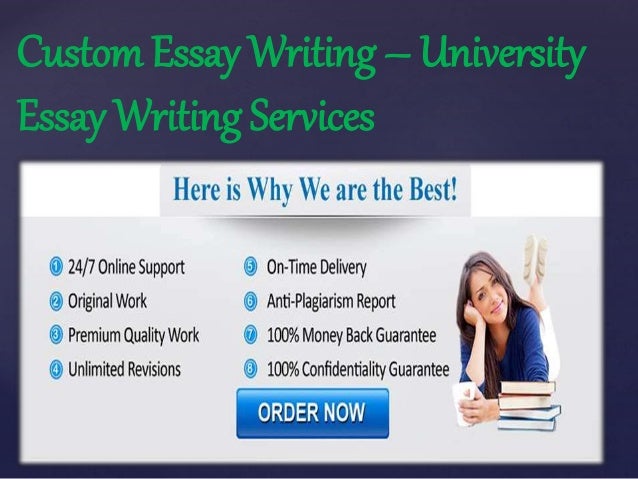 essay support